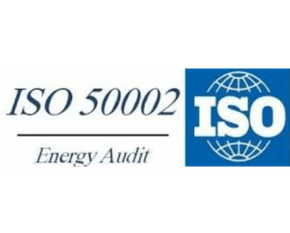 ISO 50002