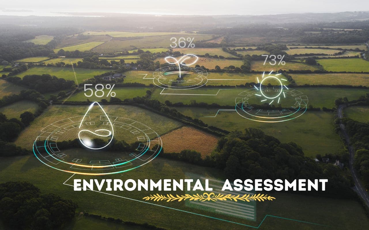 Environmental Assessment